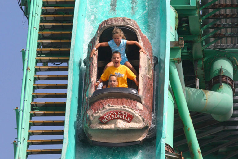 Logger's Revenge