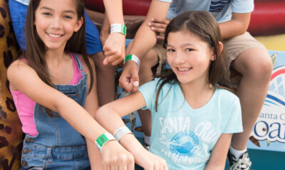 guests wearing Ride Wristbands